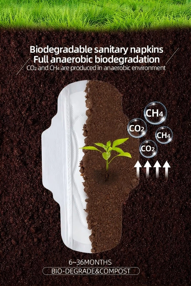 ABT Biodegradable Sanitary Napkin Feature 1(1)
